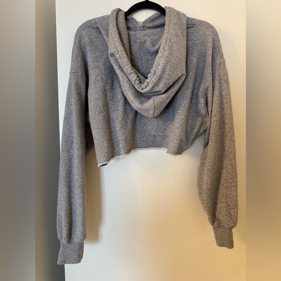 Aritzia - the constant crop hoodie - Picture 3 of 5